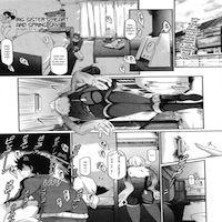 Big Sister's Heart And Spring Sky manga cover